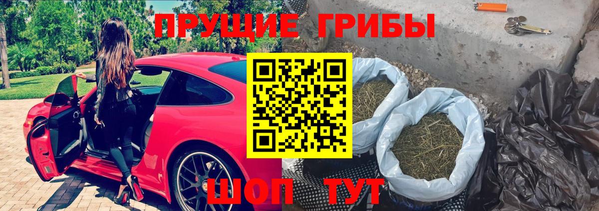 Псилоцибиновые грибы Psilocybine cubensis Качканар