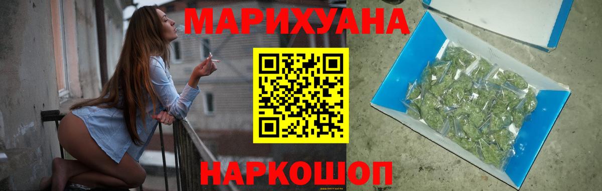 Каннабис планчик Качканар